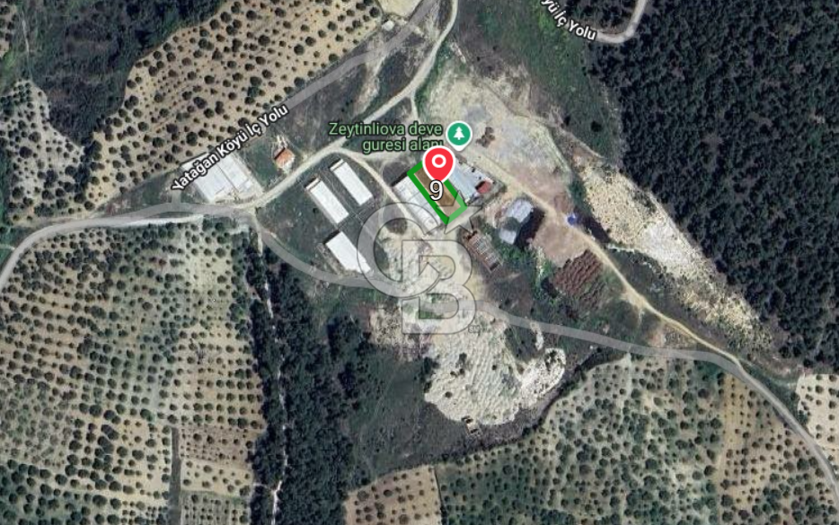 Akhisar Zeytinliova da Satılık  Fabrika Arazisi