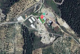 Akhisar Zeytinliova da Satılık  Fabrika Arazisi - 1 - 369301