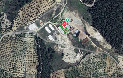 Akhisar Zeytinliova da Satılık  Fabrika Arazisi