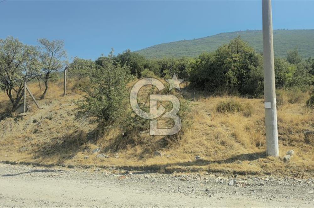 Kemalpaşa OSB’de Satılık Sanayi İmarlı Arsa