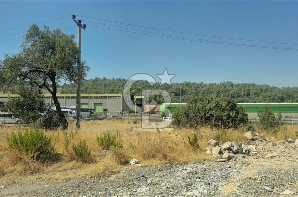 Kemalpaşa OSB’de Satılık Sanayi İmarlı Arsa