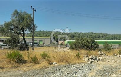 Kemalpaşa OSB’de Satılık Sanayi İmarlı Arsa