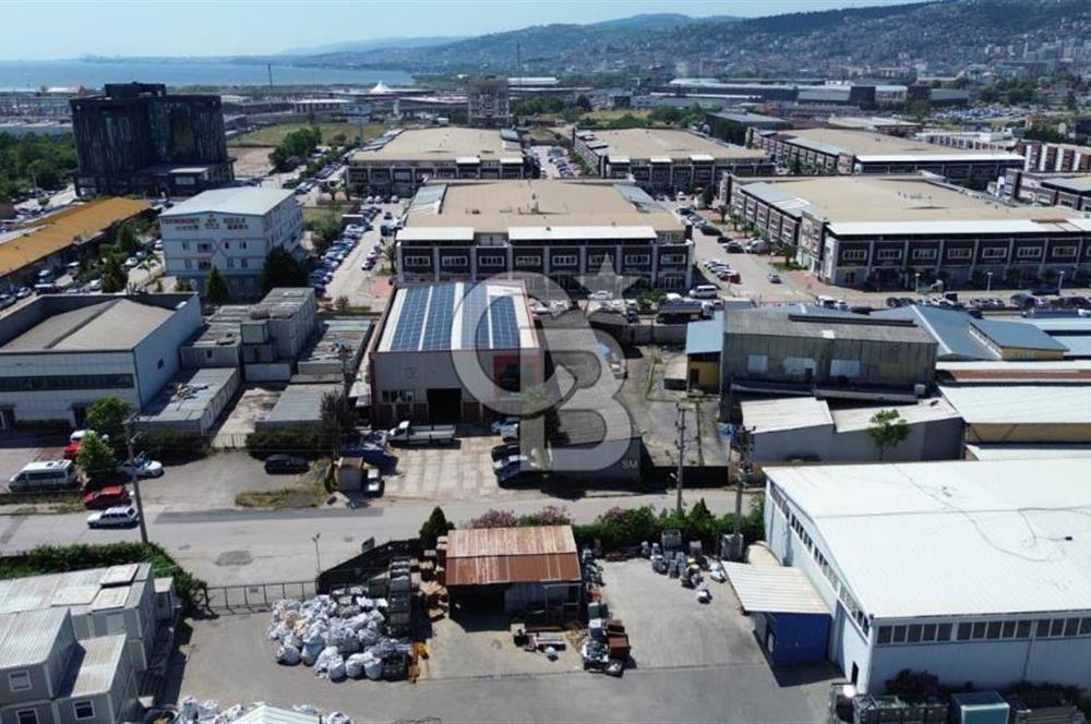 CB Envoy'dan İzmit Çarşı Avm Arkasında 1.207 m2 Kiralık İş yeri