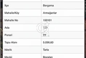 Satılık 102 Dönüm Zeytinlik - 1 - 369283
