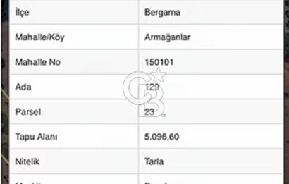 Satılık 102 Dönüm Zeytinlik