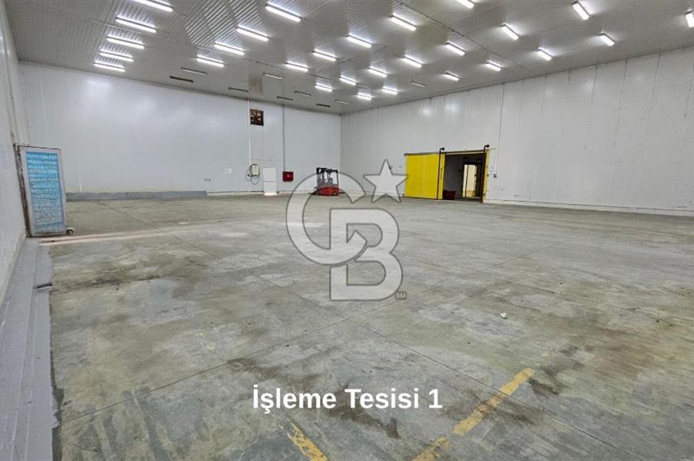 Manisa Salihli OSB Satılık Soğuk Hava Deposu ve İşleme Tesisi
