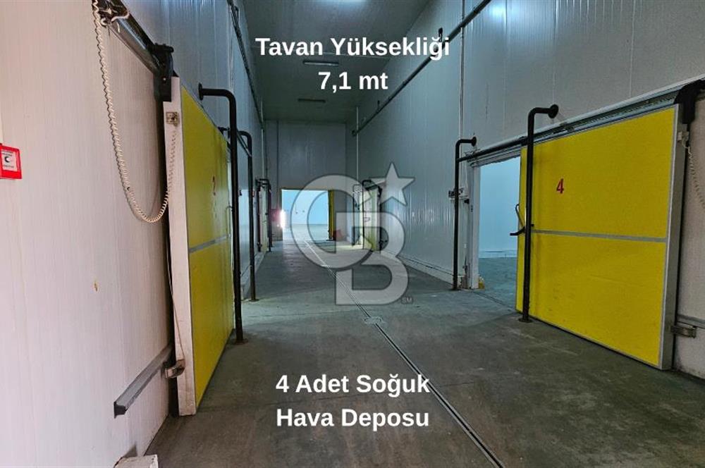 Manisa Salihli OSB Satılık Soğuk Hava Deposu ve İşleme Tesisi