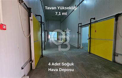 Manisa Salihli OSB Satılık Soğuk Hava Deposu ve İşleme Tesisi
