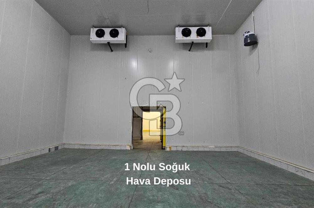 Manisa Salihli OSB Satılık Soğuk Hava Deposu ve İşleme Tesisi