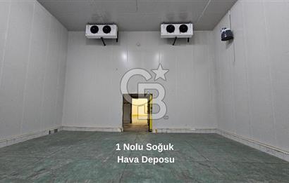 Manisa Salihli OSB Satılık Soğuk Hava Deposu ve İşleme Tesisi