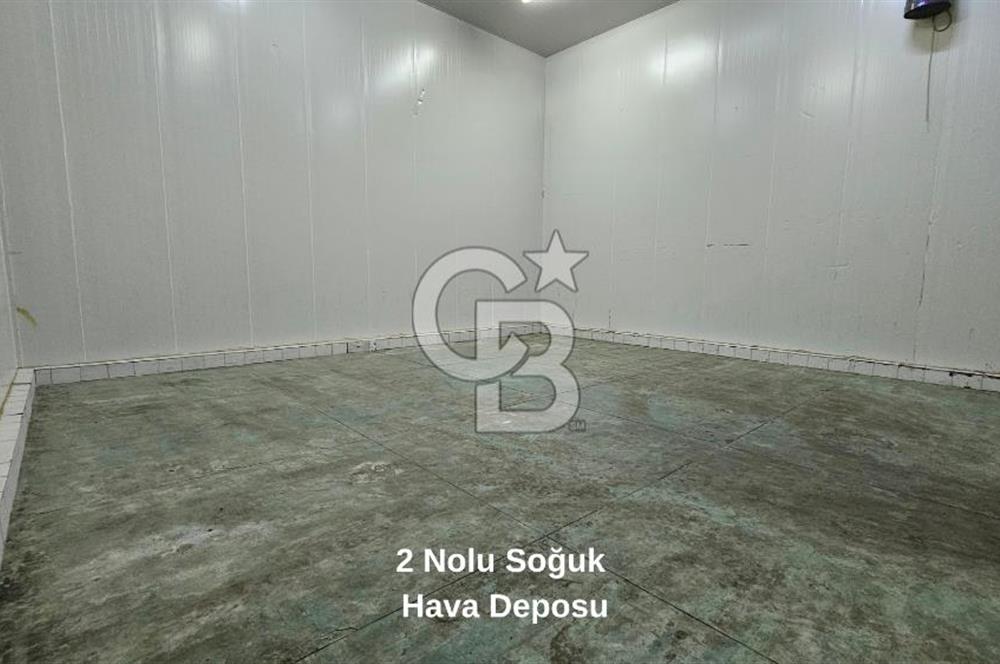Manisa Salihli OSB Satılık Soğuk Hava Deposu ve İşleme Tesisi