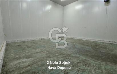 Manisa Salihli OSB Satılık Soğuk Hava Deposu ve İşleme Tesisi