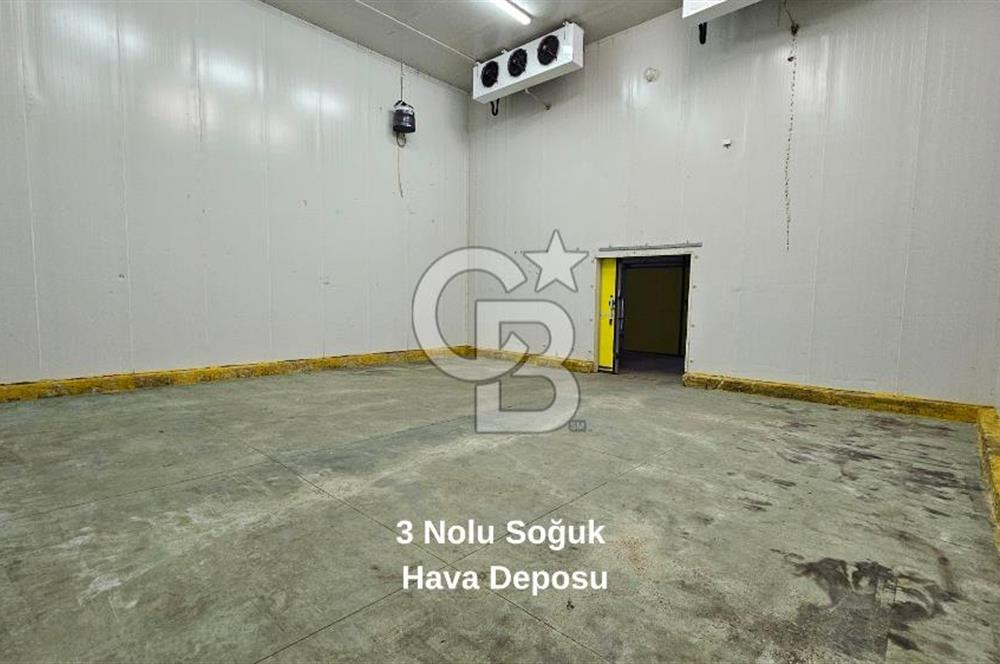 Manisa Salihli OSB Satılık Soğuk Hava Deposu ve İşleme Tesisi