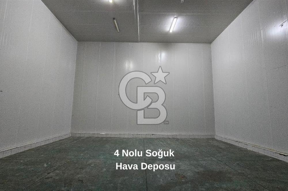 Manisa Salihli OSB Satılık Soğuk Hava Deposu ve İşleme Tesisi