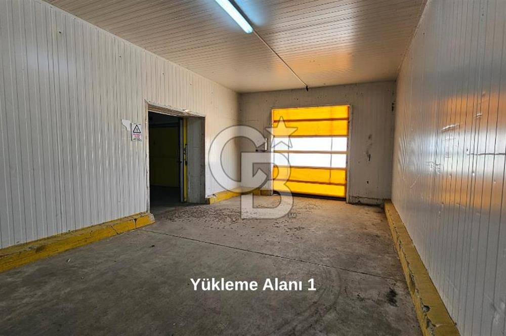 Manisa Salihli OSB Satılık Soğuk Hava Deposu ve İşleme Tesisi