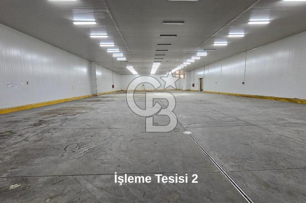 Manisa Salihli OSB Satılık Soğuk Hava Deposu ve İşleme Tesisi