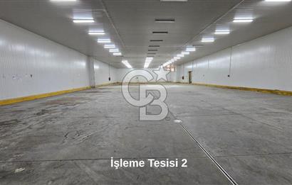 Manisa Salihli OSB Satılık Soğuk Hava Deposu ve İşleme Tesisi