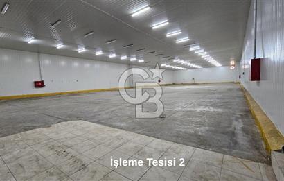 Manisa Salihli OSB Satılık Soğuk Hava Deposu ve İşleme Tesisi