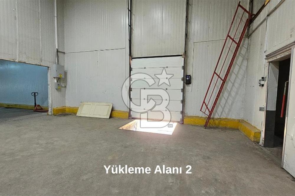 Manisa Salihli OSB Satılık Soğuk Hava Deposu ve İşleme Tesisi