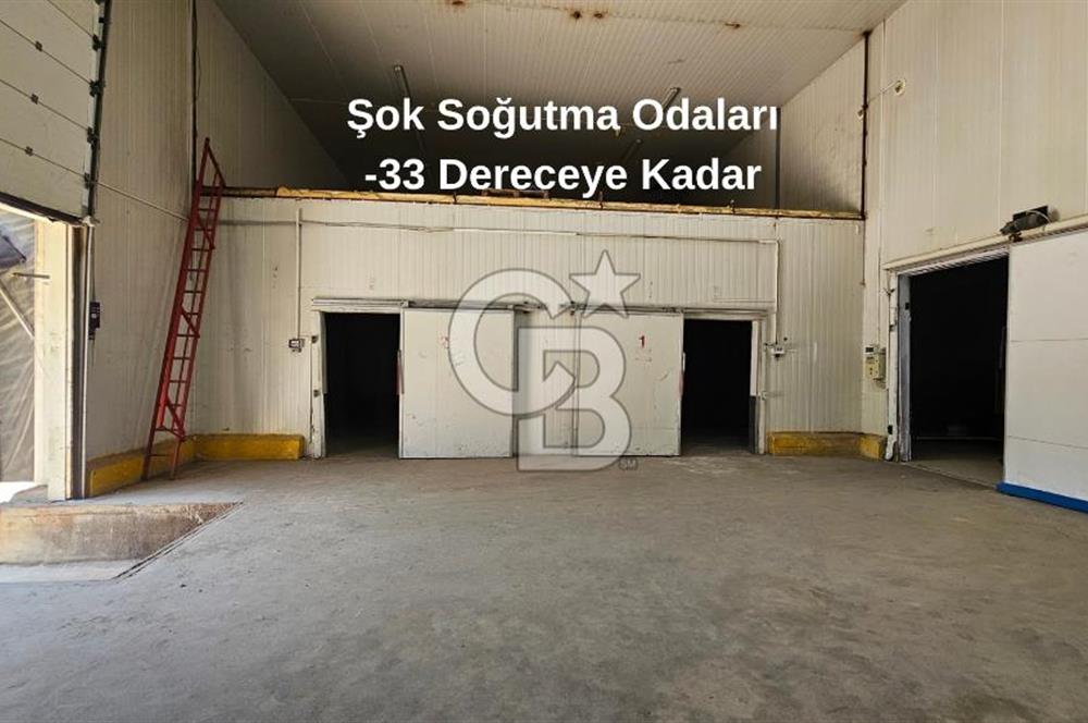 Manisa Salihli OSB Satılık Soğuk Hava Deposu ve İşleme Tesisi