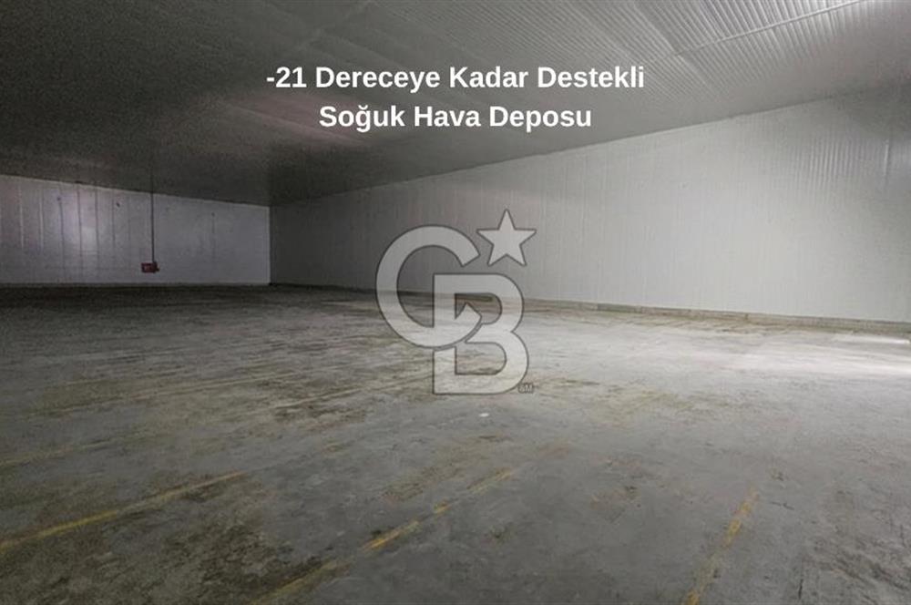 Manisa Salihli OSB Satılık Soğuk Hava Deposu ve İşleme Tesisi