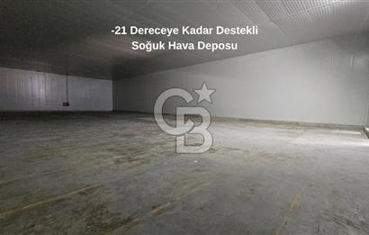 Manisa Salihli OSB Satılık Soğuk Hava Deposu ve İşleme Tesisi