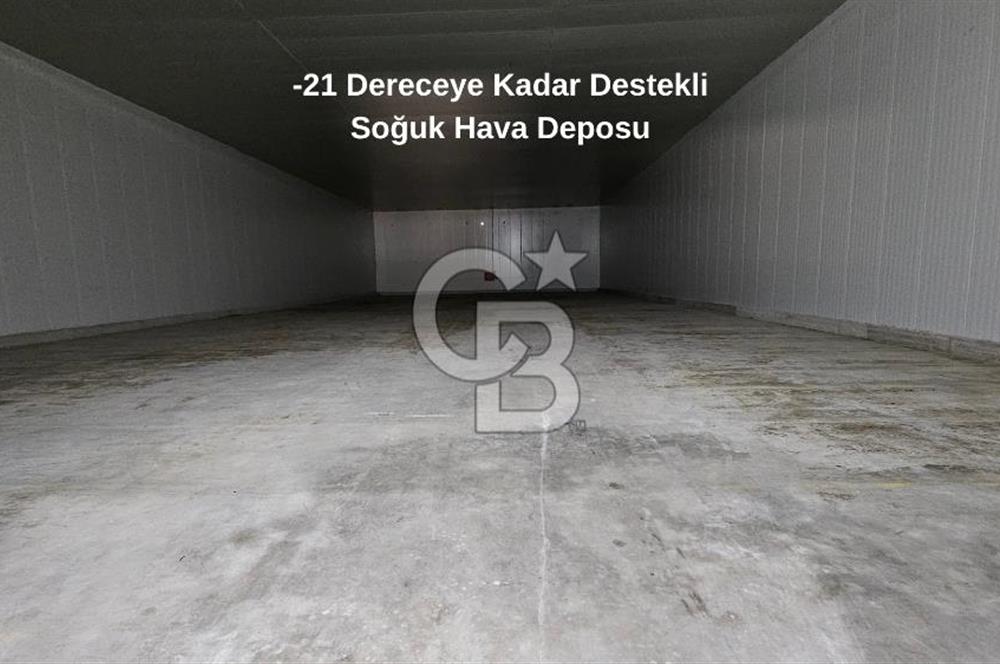 Manisa Salihli OSB Satılık Soğuk Hava Deposu ve İşleme Tesisi