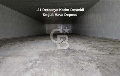 Manisa Salihli OSB Satılık Soğuk Hava Deposu ve İşleme Tesisi
