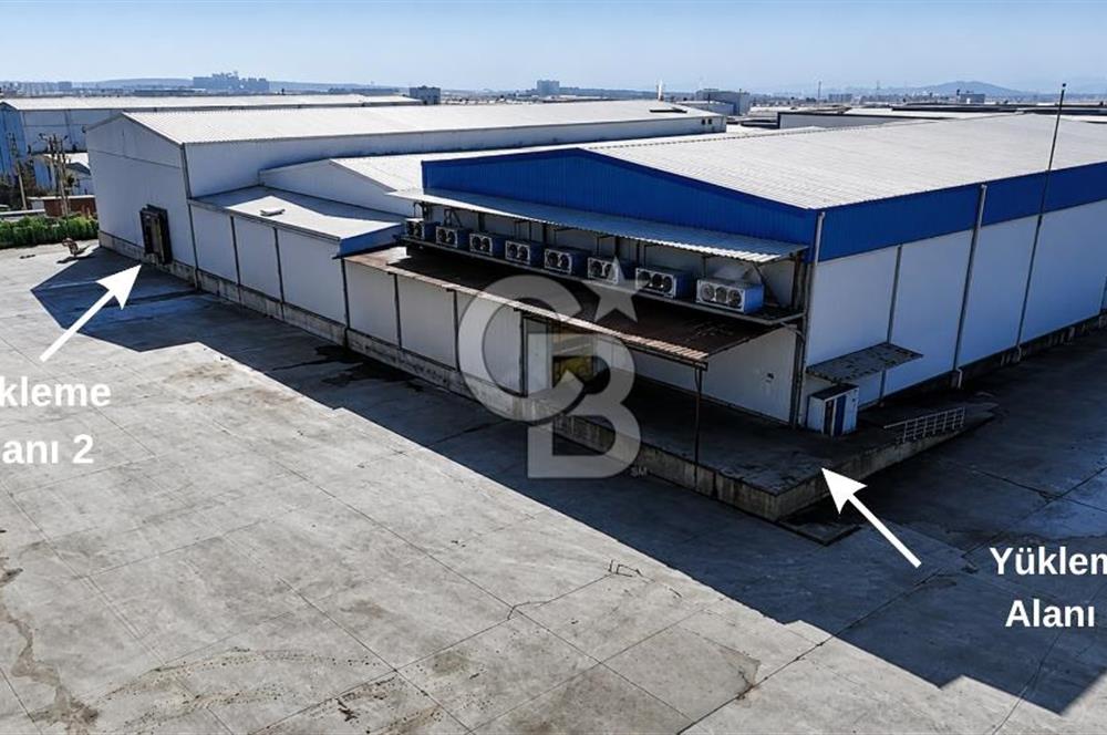 Manisa Salihli OSB Satılık Soğuk Hava Deposu ve İşleme Tesisi