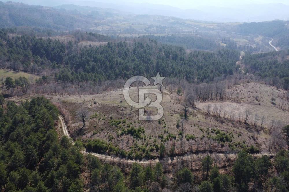ÇANAKKALE ÇAN OZANCIK KAZDAĞLARINDA ORMANA CEPHELİ SATILIK ARAZİ