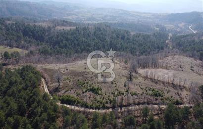 ÇANAKKALE ÇAN OZANCIK KAZDAĞLARINDA ORMANA CEPHELİ SATILIK ARAZİ