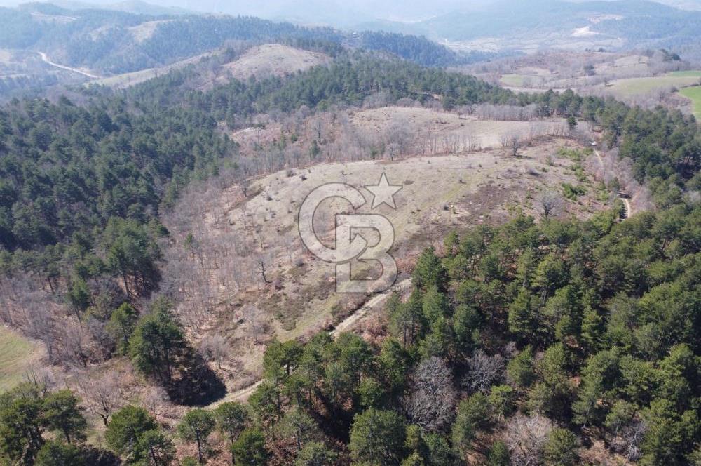 ÇANAKKALE ÇAN OZANCIK KAZDAĞLARINDA ORMANA CEPHELİ SATILIK ARAZİ