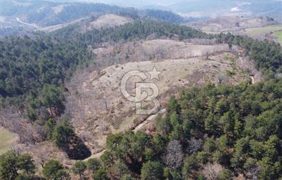 ÇANAKKALE ÇAN OZANCIK KAZDAĞLARINDA ORMANA CEPHELİ SATILIK ARAZİ