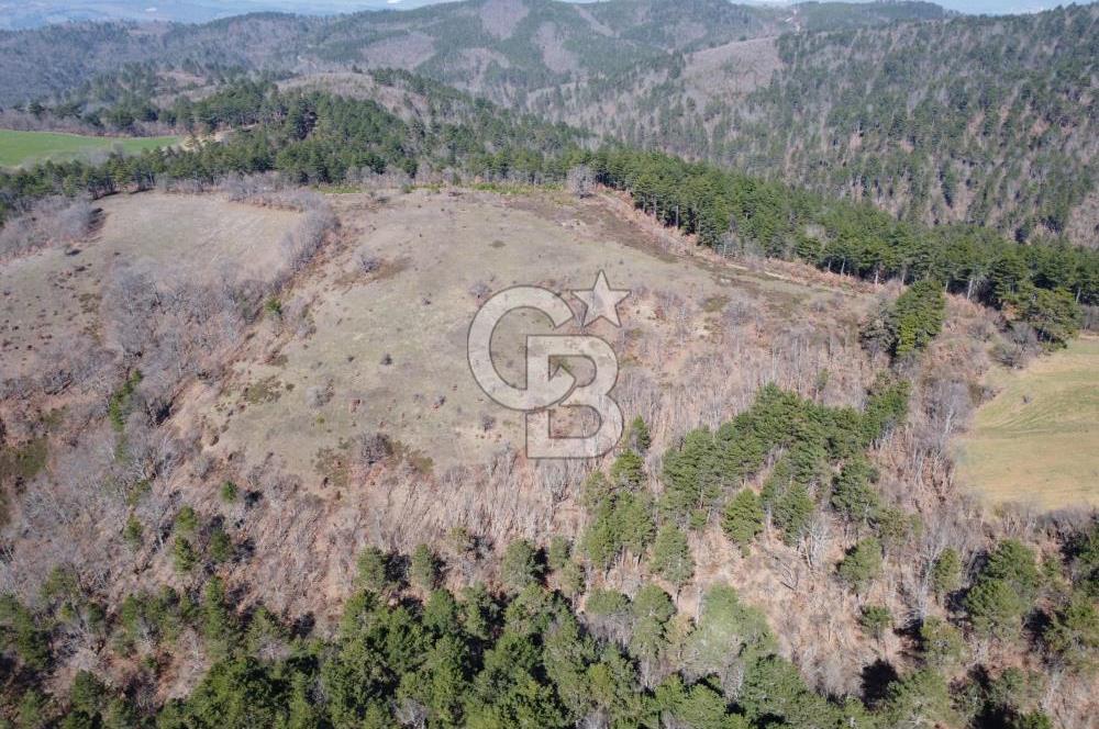 ÇANAKKALE ÇAN OZANCIK KAZDAĞLARINDA ORMANA CEPHELİ SATILIK ARAZİ