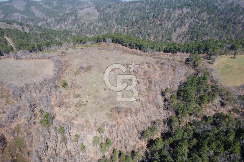 ÇANAKKALE ÇAN OZANCIK KAZDAĞLARINDA ORMANA CEPHELİ SATILIK ARAZİ