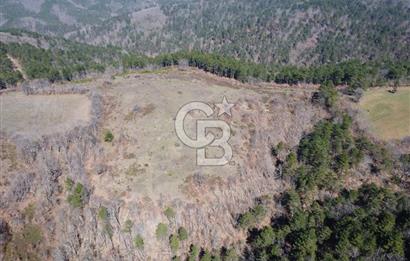 ÇANAKKALE ÇAN OZANCIK KAZDAĞLARINDA ORMANA CEPHELİ SATILIK ARAZİ