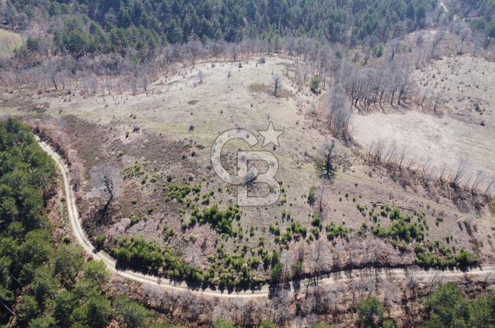 ÇANAKKALE ÇAN OZANCIK KAZDAĞLARINDA ORMANA CEPHELİ SATILIK ARAZİ