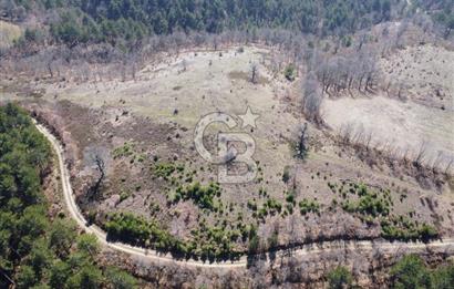 ÇANAKKALE ÇAN OZANCIK KAZDAĞLARINDA ORMANA CEPHELİ SATILIK ARAZİ