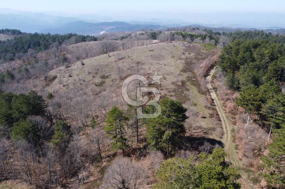 ÇANAKKALE ÇAN OZANCIK KAZDAĞLARINDA ORMANA CEPHELİ SATILIK ARAZİ