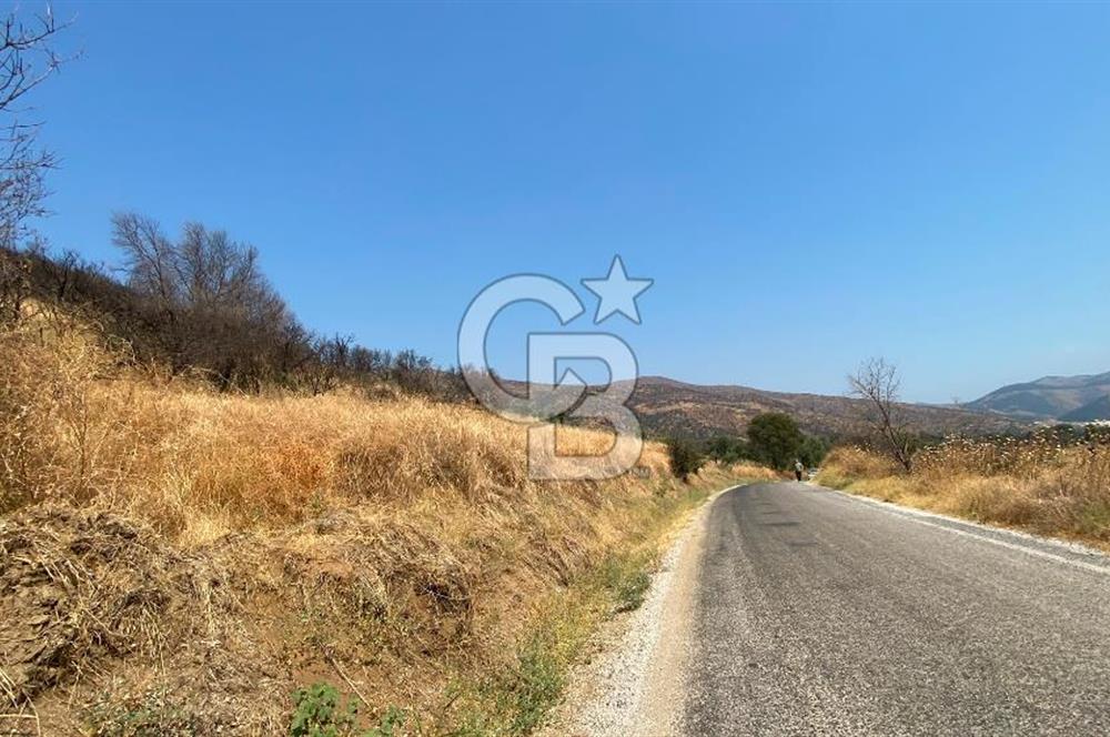 İZMİR ÖDEMİŞ'TE SATILIK 4840 M2 ARAZİ