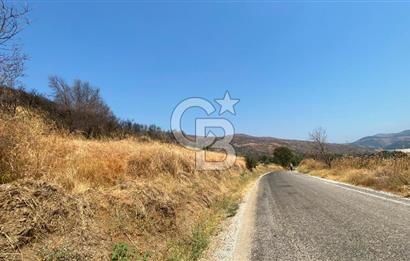 İZMİR ÖDEMİŞ'TE SATILIK 4840 M2 ARAZİ