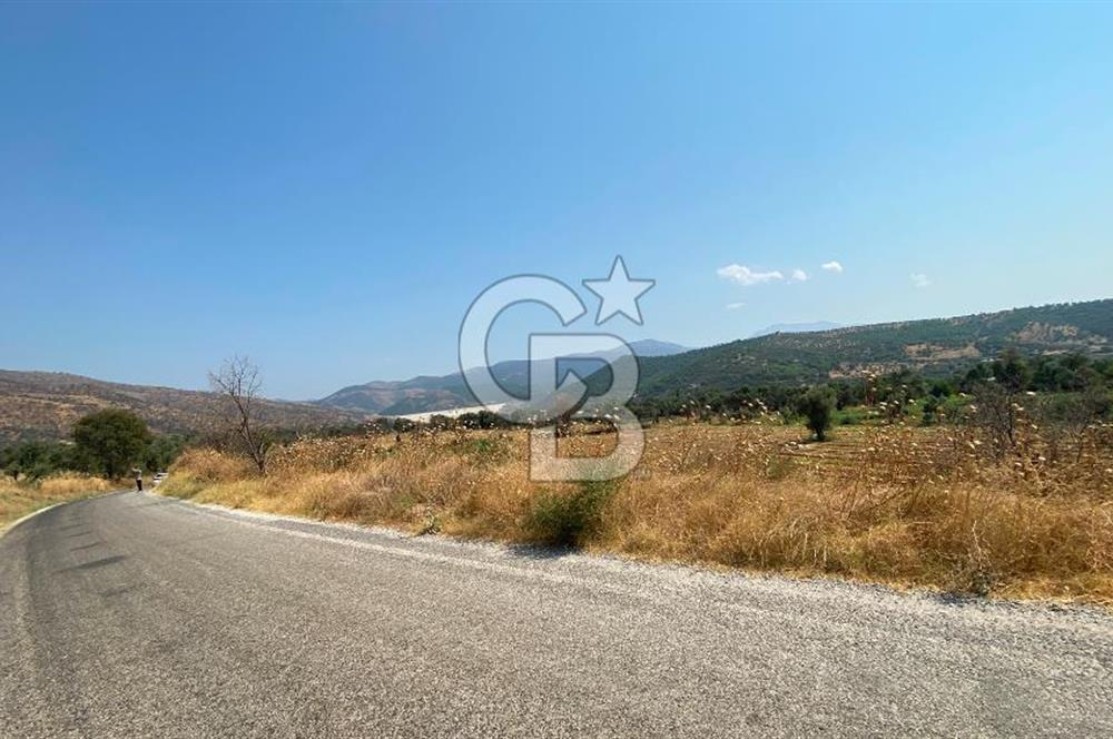 İZMİR ÖDEMİŞ'TE SATILIK 4840 M2 ARAZİ
