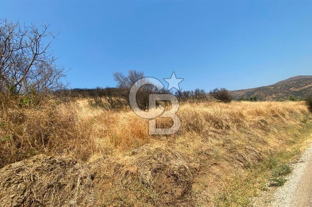 İZMİR ÖDEMİŞ'TE SATILIK 4840 M2 ARAZİ