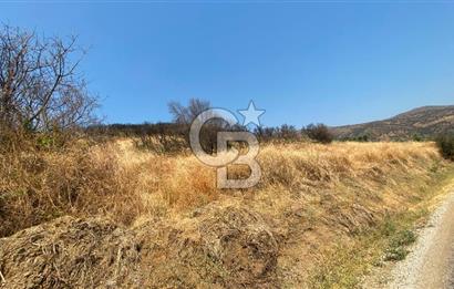 İZMİR ÖDEMİŞ'TE SATILIK 4840 M2 ARAZİ