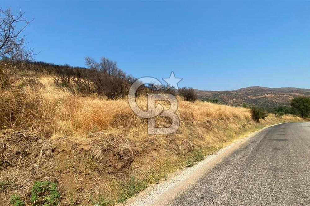 İZMİR ÖDEMİŞ'TE SATILIK 4840 M2 ARAZİ