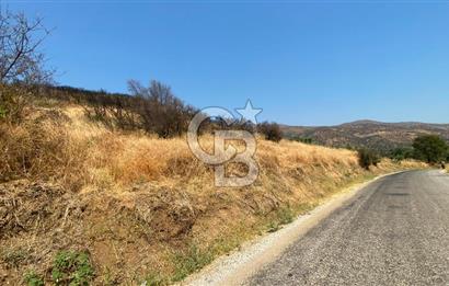 İZMİR ÖDEMİŞ'TE SATILIK 4840 M2 ARAZİ