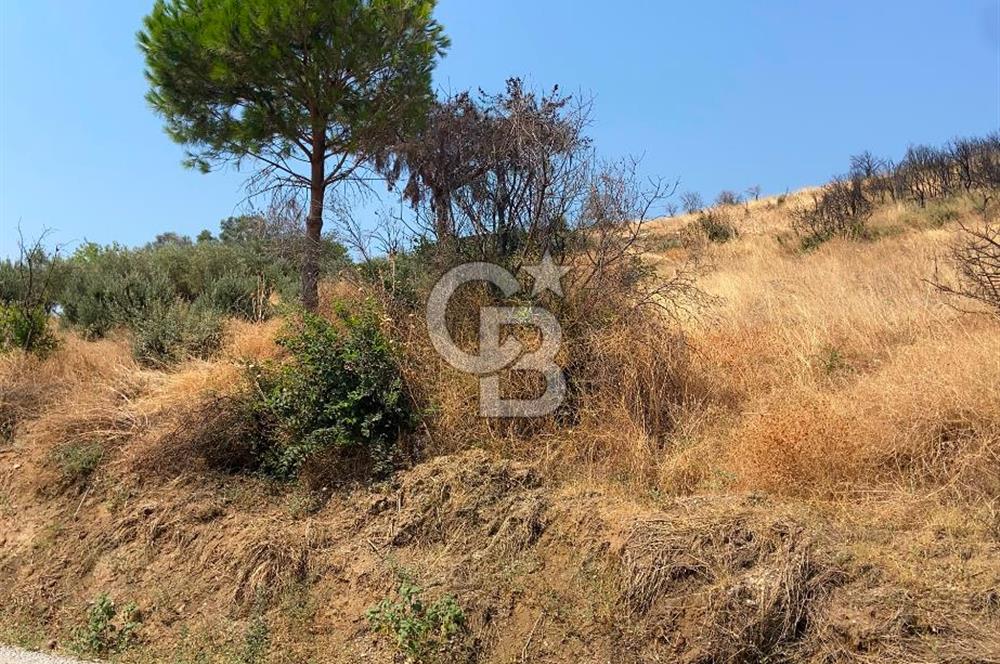 İZMİR ÖDEMİŞ'TE SATILIK 4840 M2 ARAZİ
