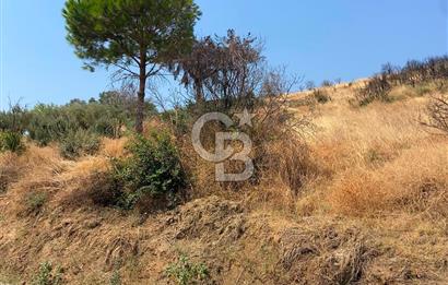 İZMİR ÖDEMİŞ'TE SATILIK 4840 M2 ARAZİ