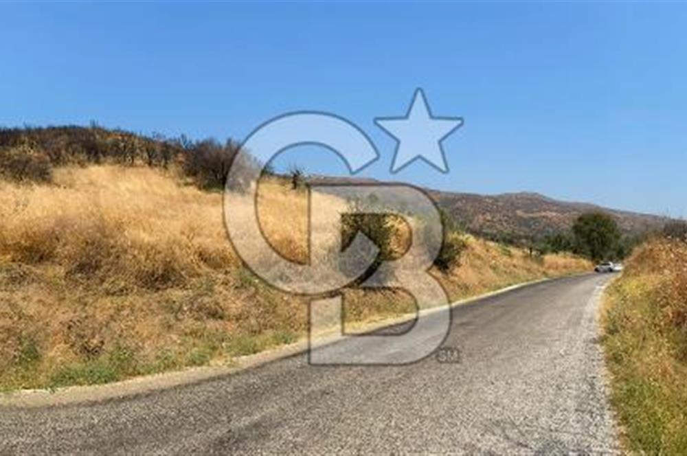 İZMİR ÖDEMİŞ'TE SATILIK 4840 M2 ARAZİ