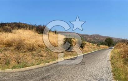 İZMİR ÖDEMİŞ'TE SATILIK 4840 M2 ARAZİ